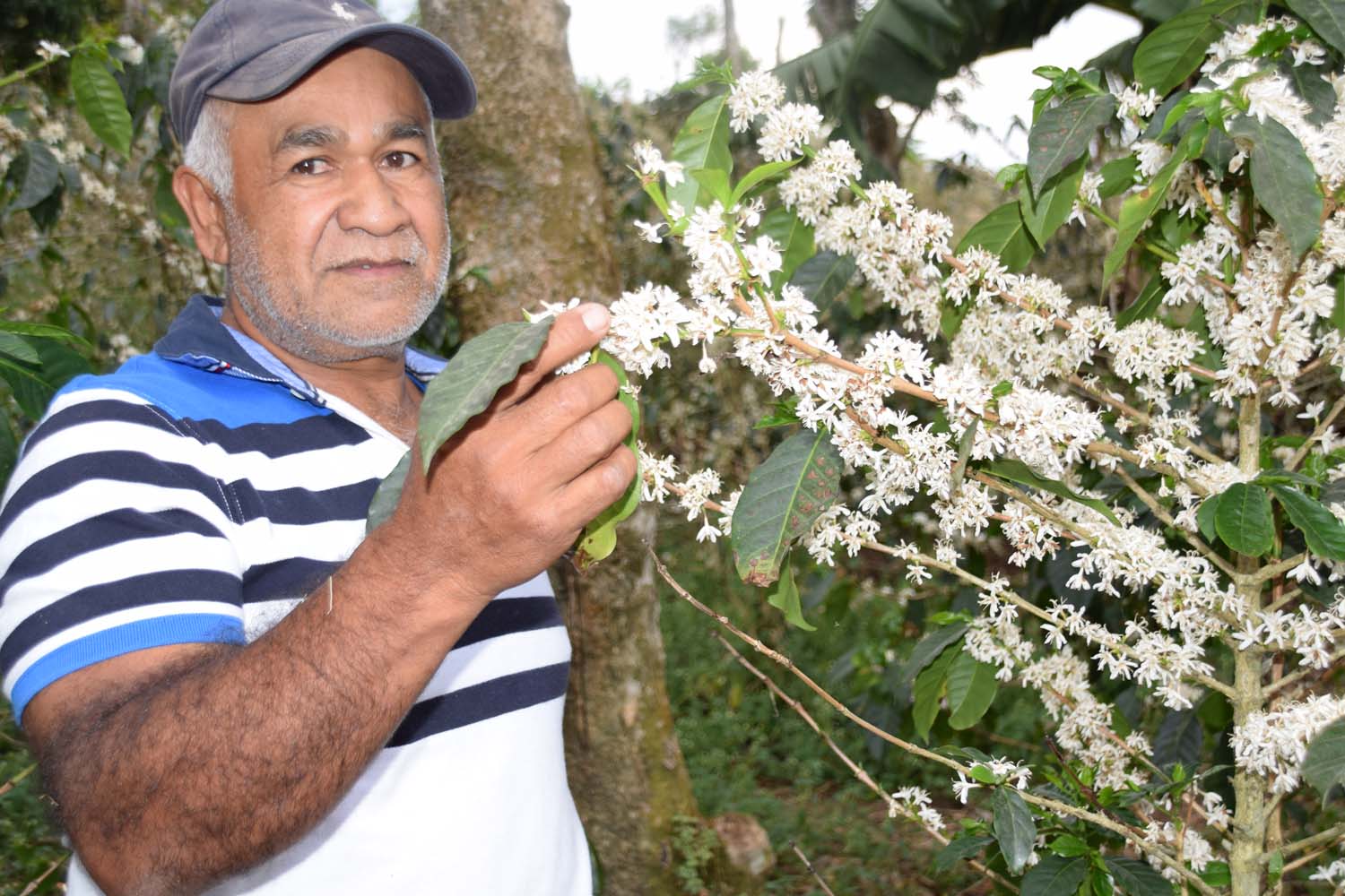 RNY